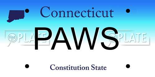 PAWS Connecticut License Plate
