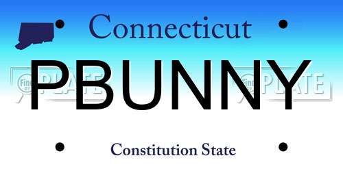 PBUNNY Connecticut License Plate
