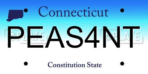 PEAS4NT Connecticut License Plate