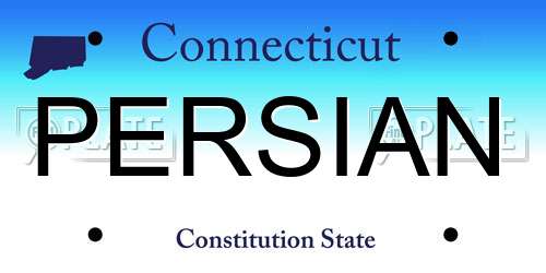 PERSIAN Connecticut License Plate