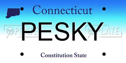 PESKY Connecticut License Plate