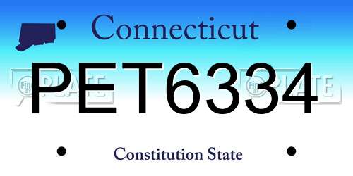 PET6334 Connecticut License Plate