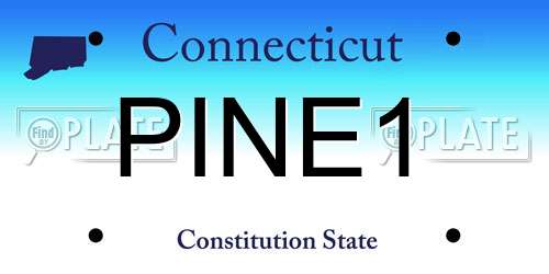 PINE1 Connecticut License Plate