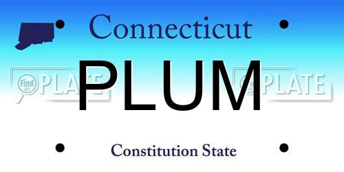 PLUM Connecticut License Plate