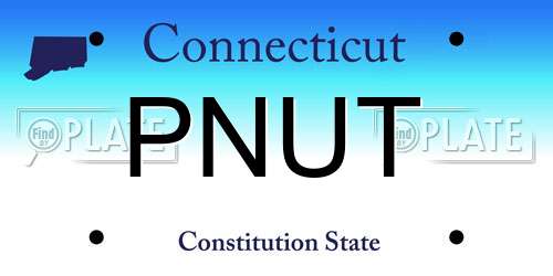 PNUT Connecticut License Plate
