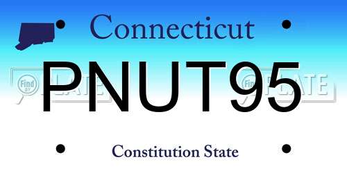 PNUT95 Connecticut License Plate
