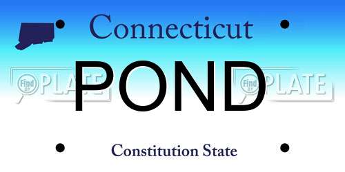 POND Connecticut License Plate