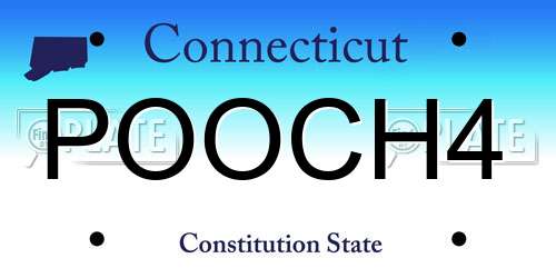 POOCH4 Connecticut License Plate