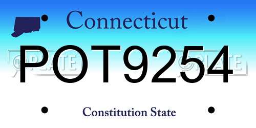 POT9254 Connecticut License Plate