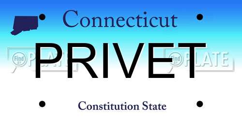 PRIVET Connecticut License Plate