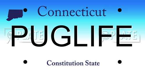 PUGLIFE Connecticut License Plate