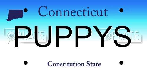 PUPPYS Connecticut License Plate