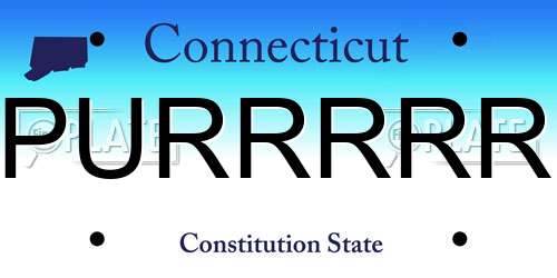 PURRRRR Connecticut License Plate