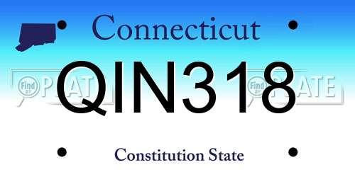 QIN318 Connecticut License Plate