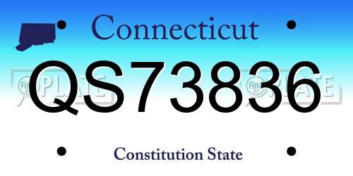 QS73836 Connecticut License Plate