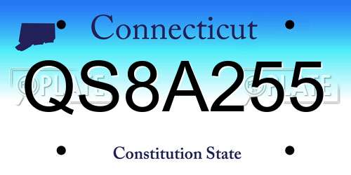 QS8A255 Connecticut License Plate