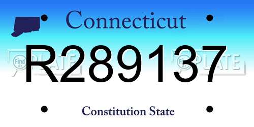 R289137 Connecticut License Plate