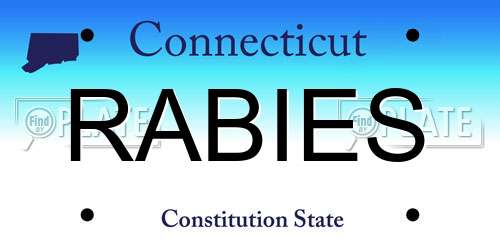 RABIES Connecticut License Plate