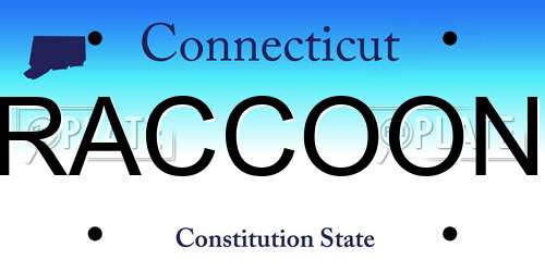RACCOON Connecticut License Plate