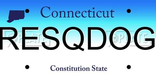 RESQDOG Connecticut License Plate
