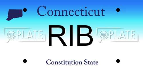 RIB Connecticut License Plate
