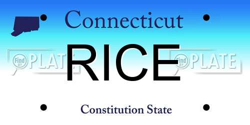 RICE Connecticut License Plate