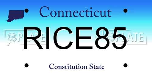RICE85 Connecticut License Plate