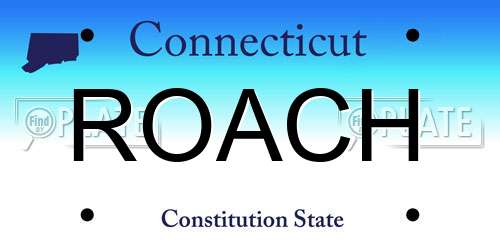 ROACH Connecticut License Plate