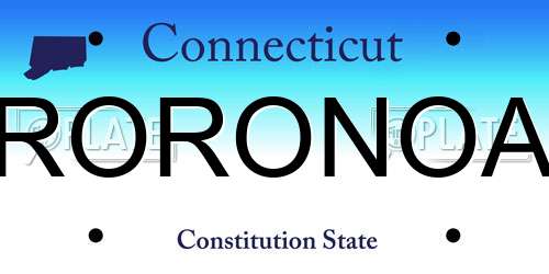 RORONOA Connecticut License Plate
