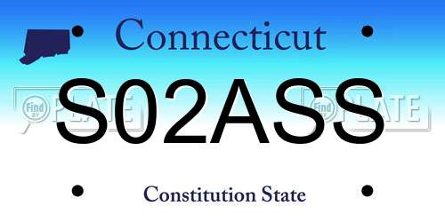 S02ASS Connecticut License Plate
