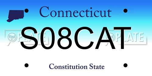 S08CAT Connecticut License Plate