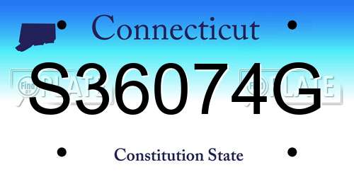 S36074G Connecticut License Plate