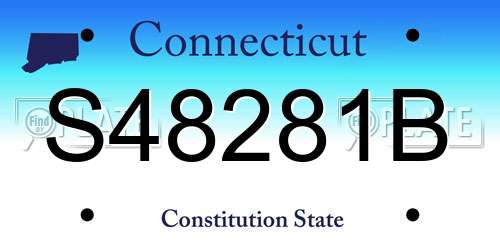 S48281B Connecticut License Plate