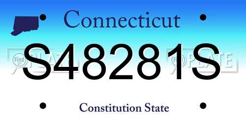 S48281S Connecticut License Plate