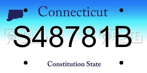 S48781B Connecticut License Plate