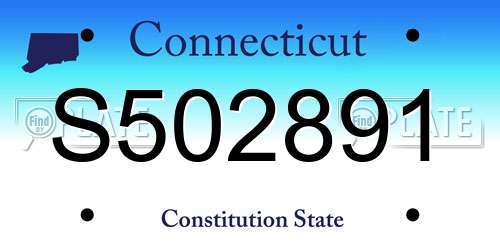 S502891 Connecticut License Plate