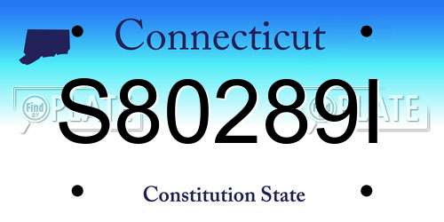 S80289I Connecticut License Plate