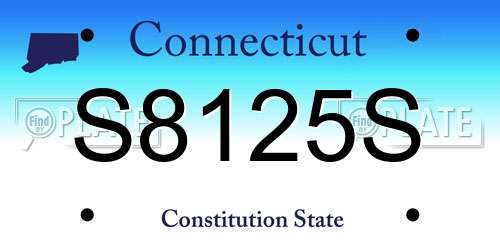 S8125S Connecticut License Plate