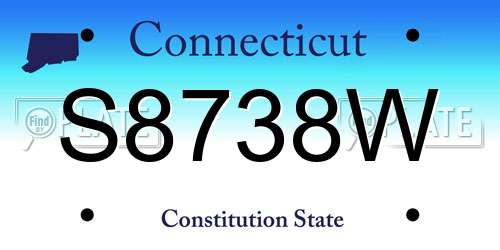 S8738W Connecticut License Plate