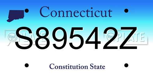 S89542Z Connecticut License Plate