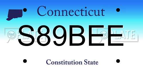 S89BEE Connecticut License Plate