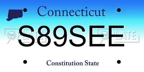 S89SEE Connecticut License Plate
