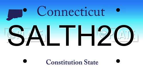 SALTH2O Connecticut License Plate