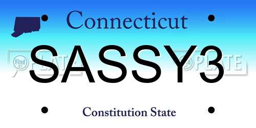 SASSY3 Connecticut License Plate