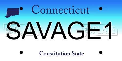 SAVAGE1 Connecticut License Plate