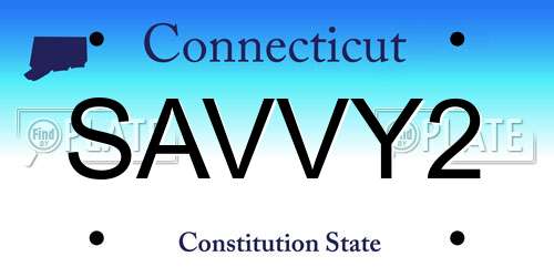 SAVVY2 Connecticut License Plate