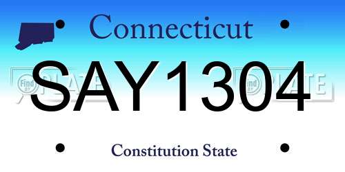SAY1304 Connecticut License Plate