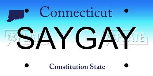 SAYGAY Connecticut License Plate