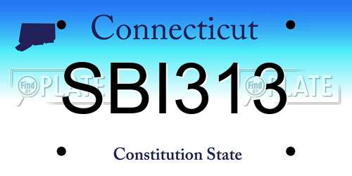 SBI313 Connecticut License Plate