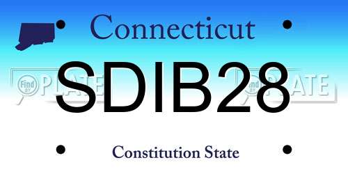 SDIB28 Connecticut License Plate